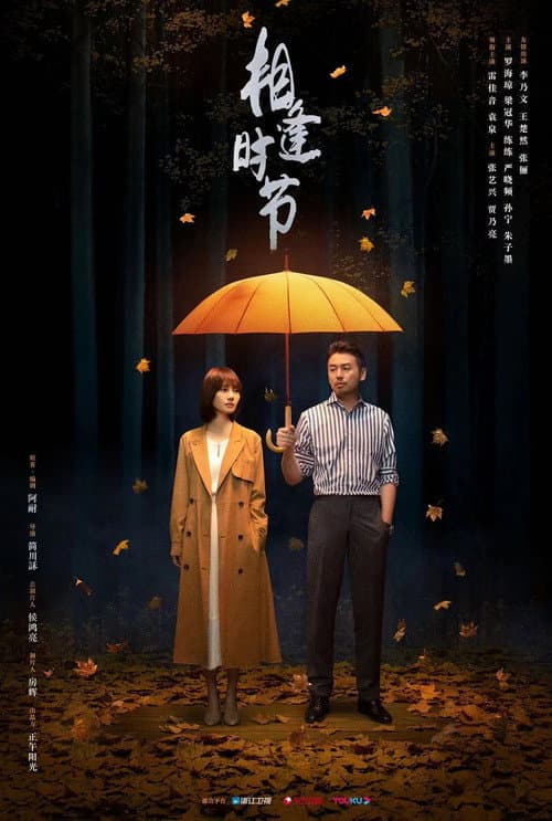 Challenges at Midlife Season 1 poster