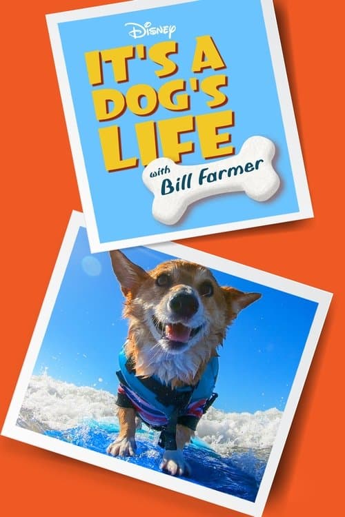 It's a Dog's Life with Bill Farmer Season 1 poster