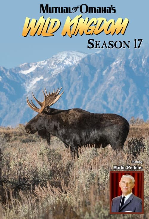Mutual of Omaha's Wild Kingdom Season 17 poster