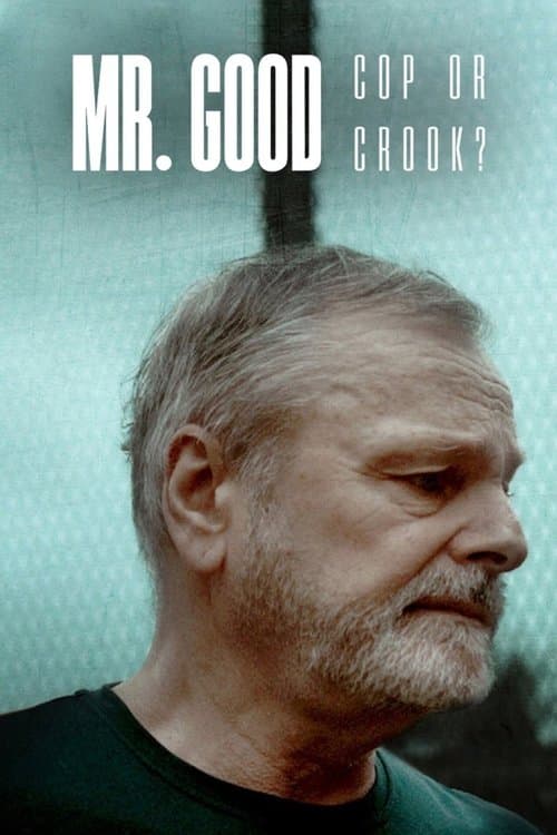 Mr. Good: Cop or Crook? Season 1 poster