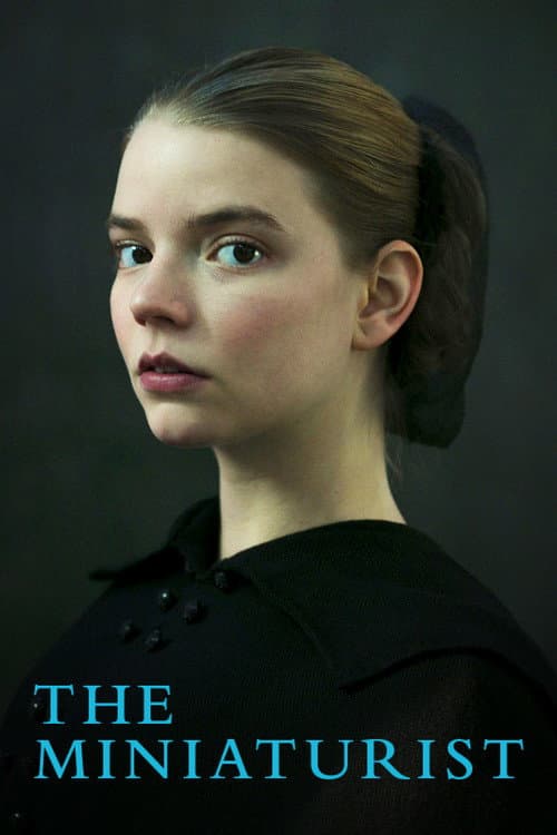 The Miniaturist Season 1 poster