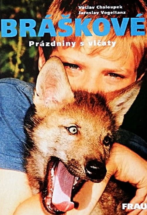 Bráškové Season 1 poster
