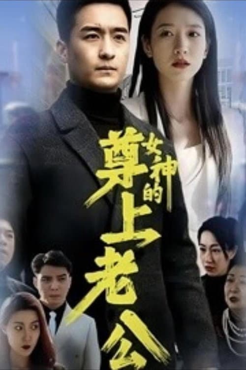 女神的尊上老公 Season 1 poster