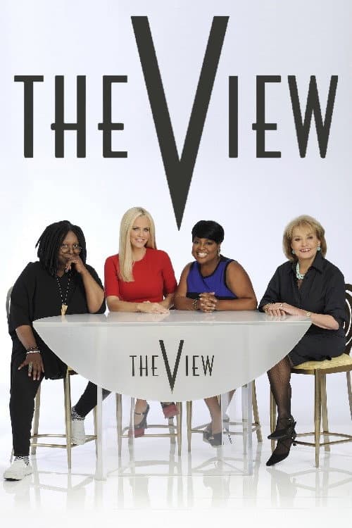 The View Season 17 poster