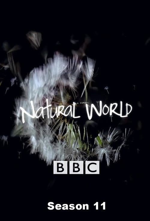 Natural World Season 11 poster