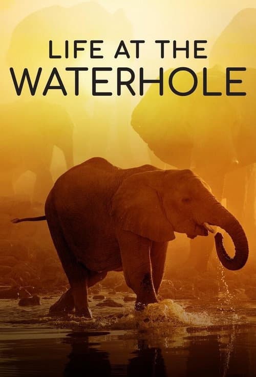 Life at the Waterhole Season 1 poster