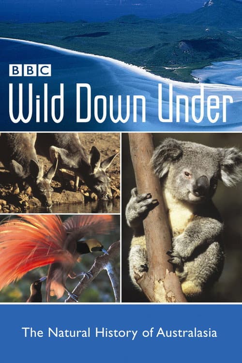 Wild Down Under Season 1 poster