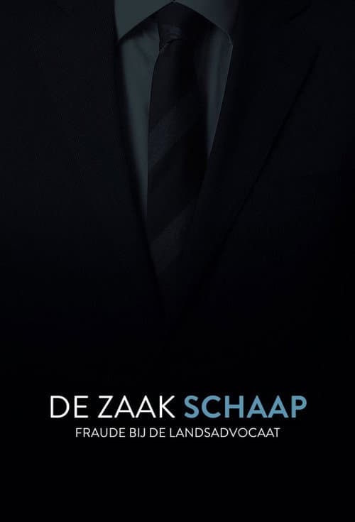 De Zaak Schaap: fraude bij de landsadvocaat Season 1 poster