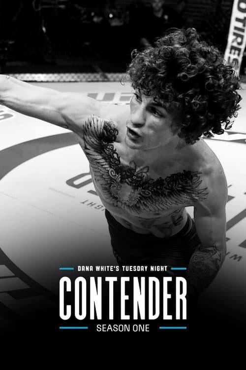 Dana White's Contender Series Season 1 poster