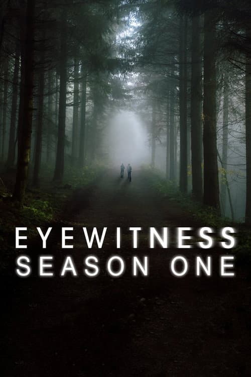 Eyewitness Season 1 poster