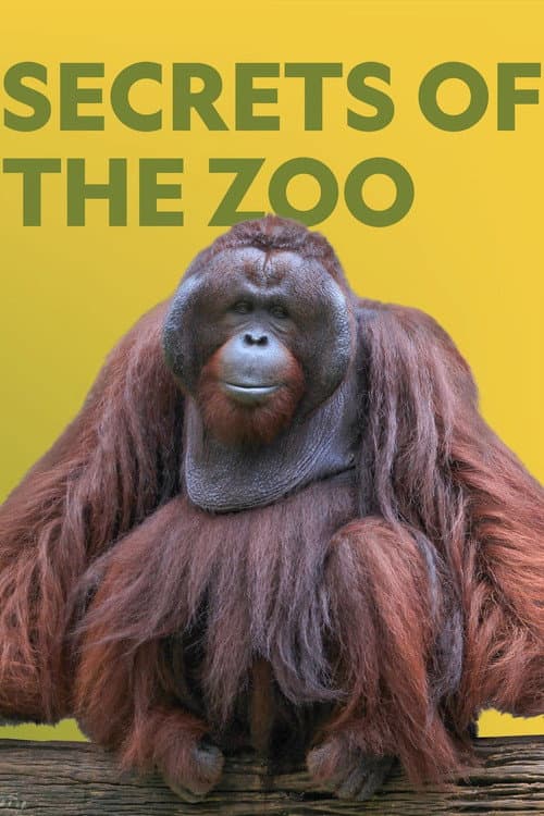 Secrets of the Zoo Season 3 poster
