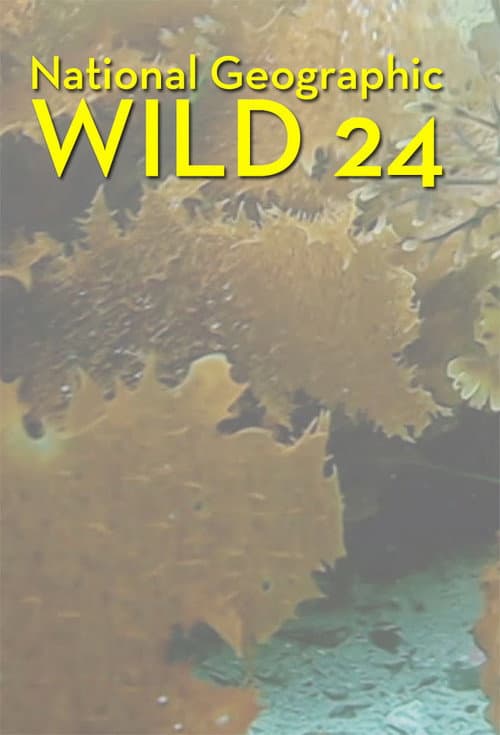 Wild 24 Season 2 poster