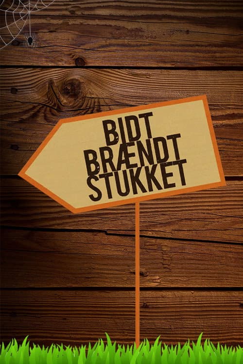 Bidt, brændt og stukket Season 2 poster