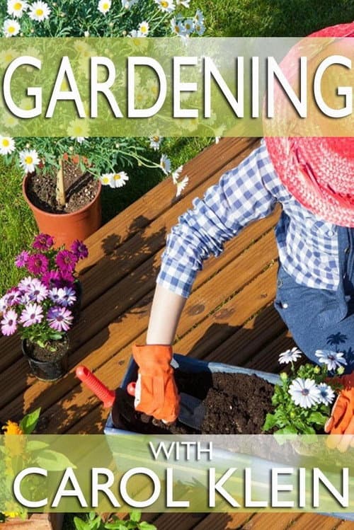 Gardening with Carol Klein Series 2 poster