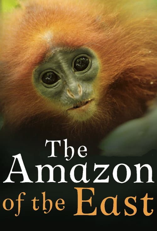 The Amazon of the East Season 1 poster