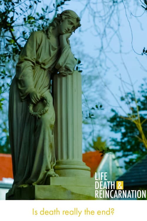 Life, Death and Reincarnation Season 1 poster
