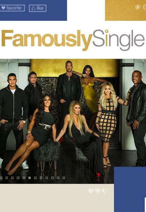 Famously Single Season 1 poster