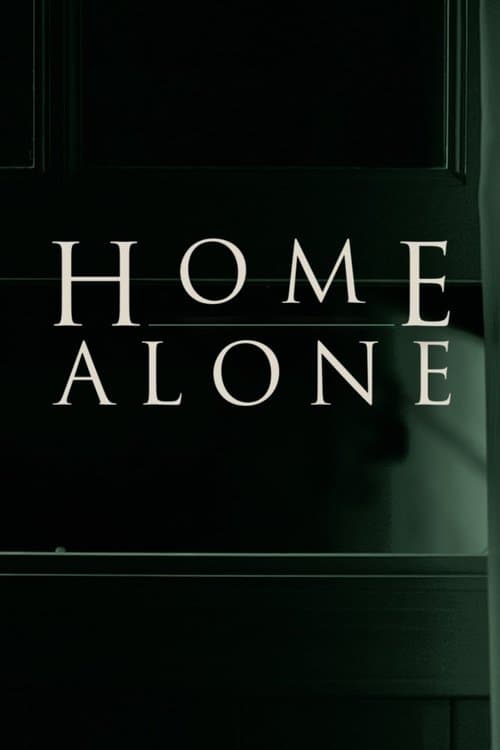 Home Alone Season 2 poster