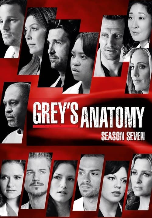 Grey's Anatomy Season 7 poster