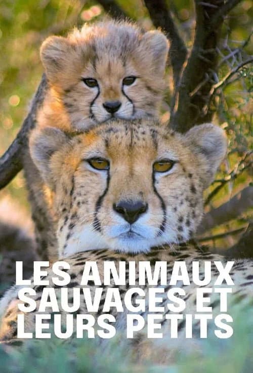 Tierkinder der Wildnis Season 1 poster