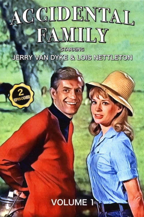 Accidental Family Season 1 poster