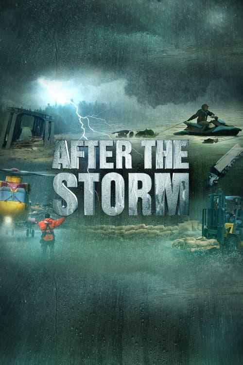 After the Storm Season 1 poster