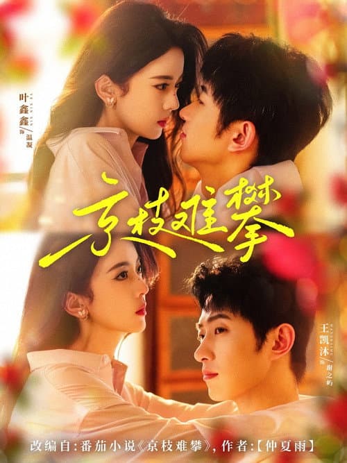 Marriage Escape to Mystery Season 1 poster