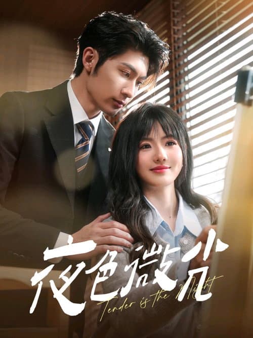 夜色微光 Season 1 poster