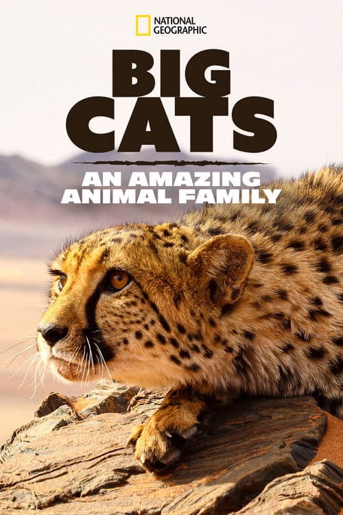 Big Cats: An Amazing Animal Family Season 1 poster