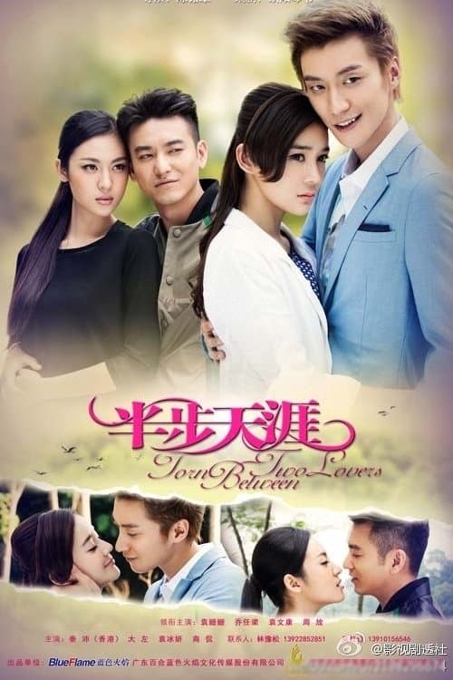 Torn Between Two Lovers Season 1 poster