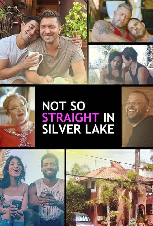 Not So Straight in Silver Lake Season 1 poster