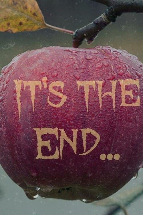 It’s The End Mini-Series poster
