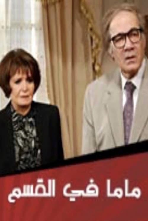 Mom at the Police Station Season 1 poster