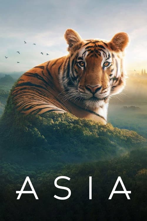 Asia Miniseries poster
