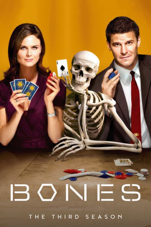 Bones Season 3 poster