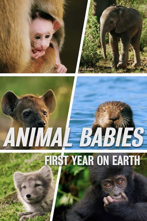 Animal Babies: First Year On Earth Season 1 poster