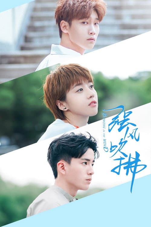Blowing in the Wind Season 1 poster