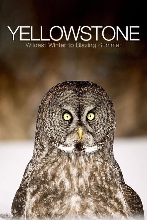 Yellowstone: Wildest Winter to Blazing Summer Miniseries poster