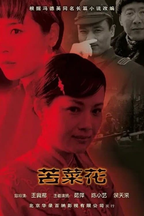Ku Cai Hua Season 1 poster
