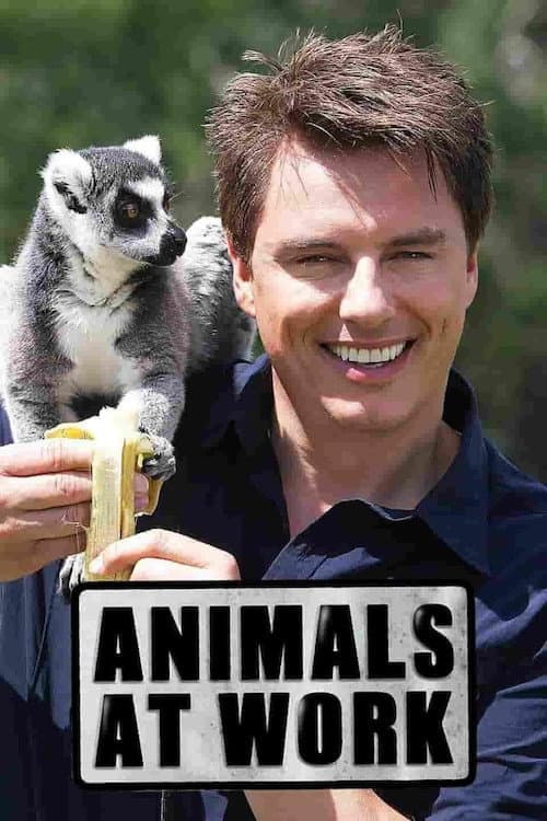 Animals at Work Season 1 poster