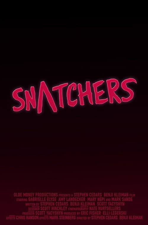 Snatchers Season 1 poster