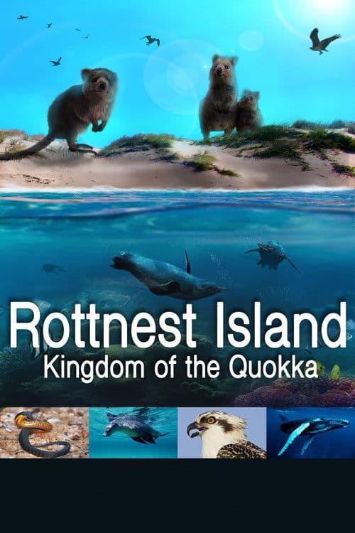 Rottnest Island: Kingdom Of The Quokka Season 1 poster