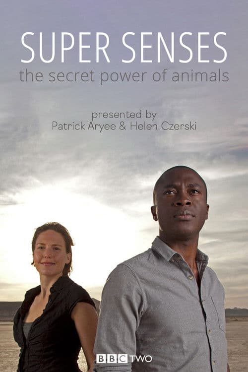 Super Senses: The Secret Power of Animals Season 1 poster