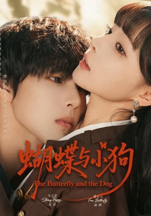 蝴蝶与小狗 Season 1 poster