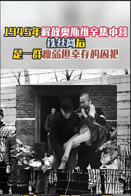 奥斯维辛集中营 Season 1 poster