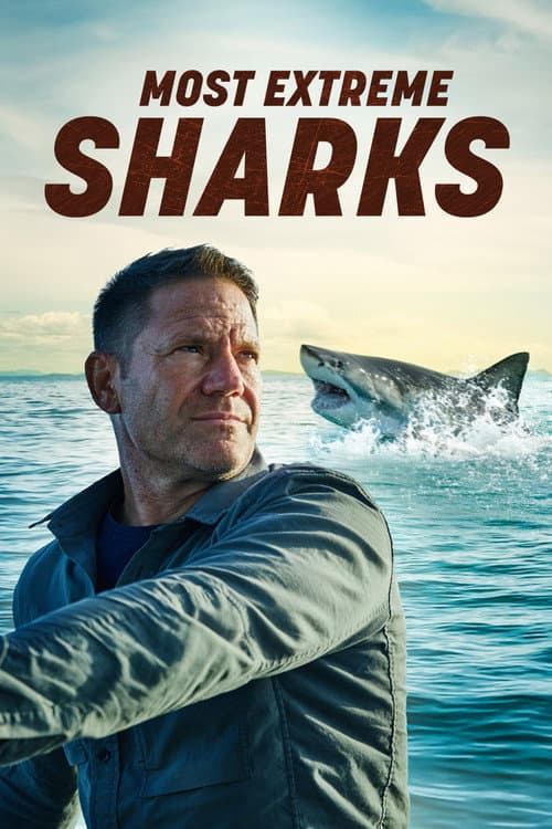 Most Extreme Sharks Season 1 poster