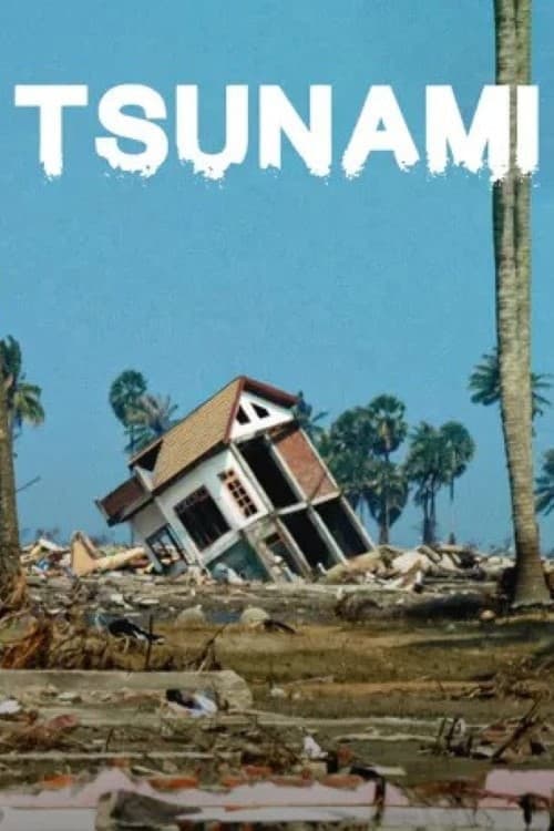 Tsunami Season 1 poster
