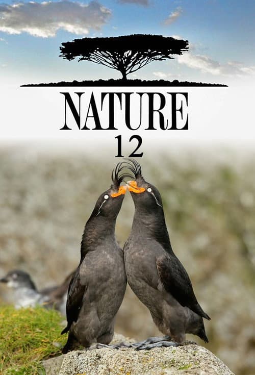 Nature Season 12 poster