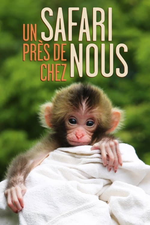 Un safari près de chez nous Season 1 poster