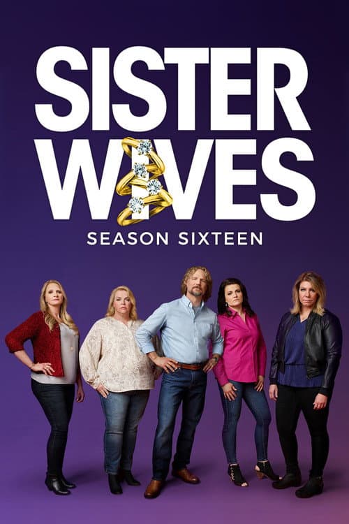 Sister Wives Season 13 poster